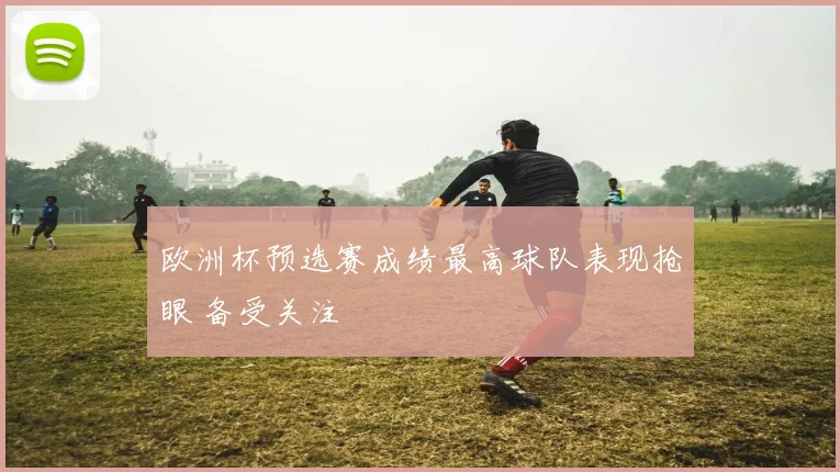 欧洲杯预选赛成绩最高球队表现抢眼 备受关注