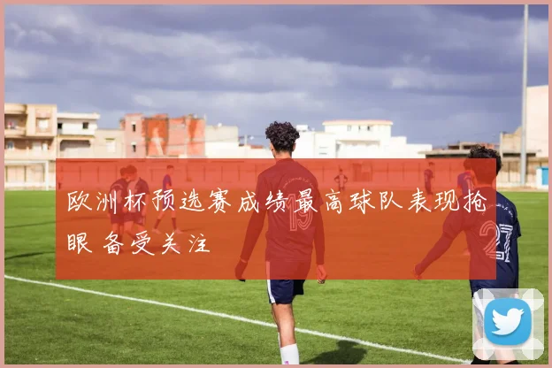 欧洲杯预选赛成绩最高球队表现抢眼 备受关注