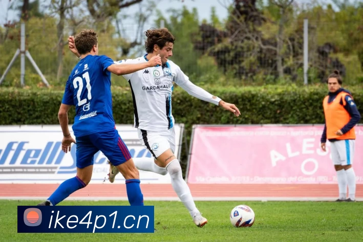 压球首页平台生态图